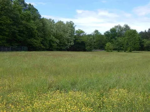 3207 Bill Strong Rd, Edwards, MS 39066 photo 12