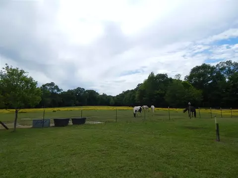 3207 Bill Strong Rd, Edwards, MS 39066 photo 6