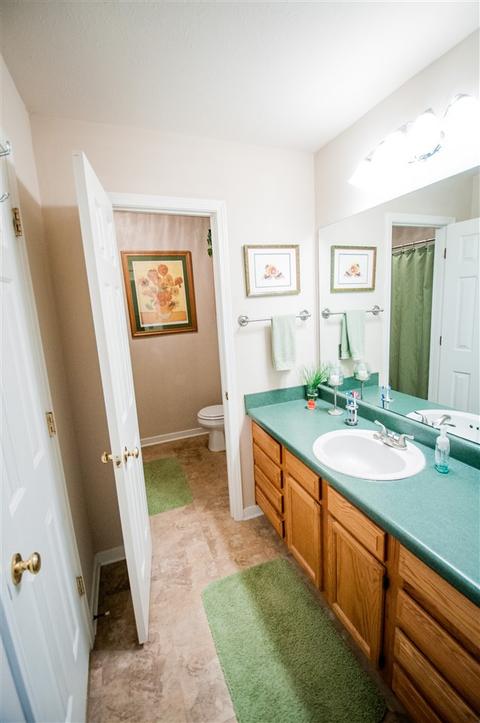 733 Whippoorwill, Brandon, MS 39047 photo 15