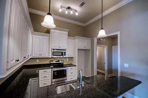 203 Bream Pond Ln, Brandon, MS 39047 photo 9