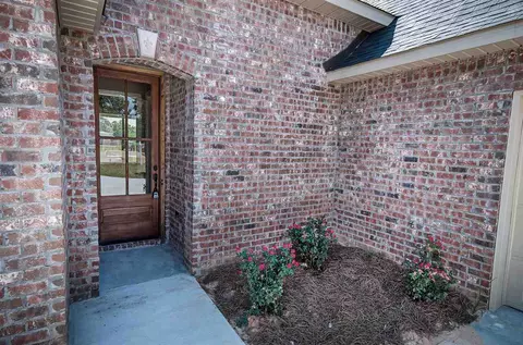 203 Bream Pond Ln, Brandon, MS 39047 photo 3
