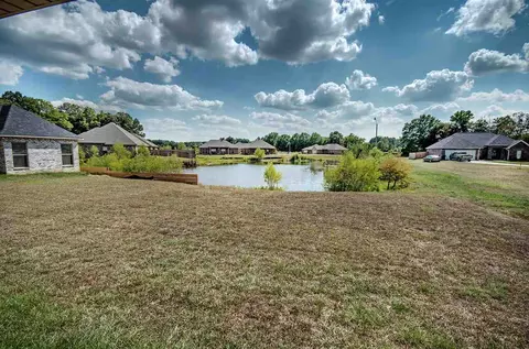203 Bream Pond Ln, Brandon, MS 39047 photo 32