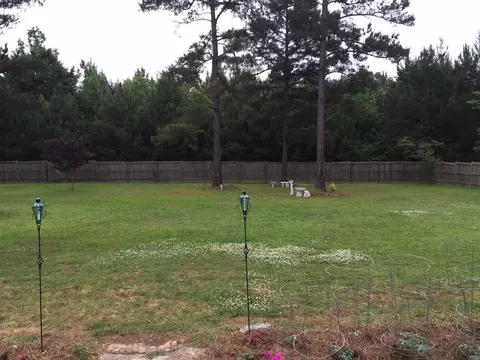 106 Rowan Oak Pl, Terry, MS 39170 photo 36