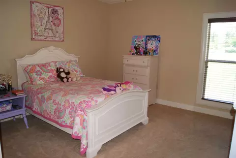 102 Pinnacle Cir, Brandon, MS 39047 photo 15