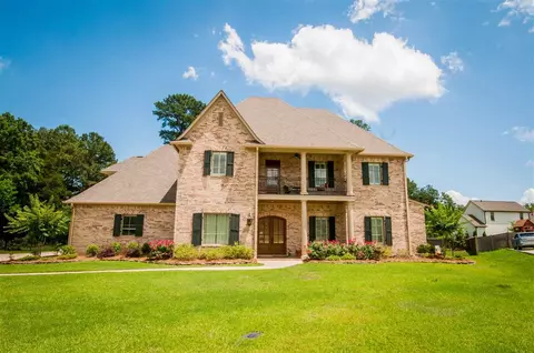 203 St Pierre Cv, Madison, MS 39110 photo 1