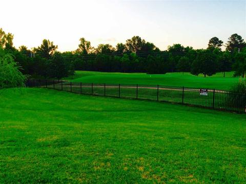 906 Cotton Cv, Pearl, MS 39208 photo 6