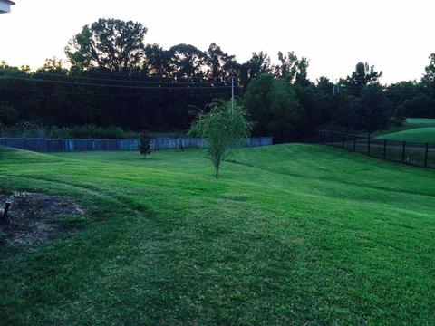 906 Cotton Cv, Pearl, MS 39208 photo 7