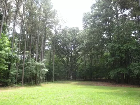 107 Deerhaven Dr, Madison, MS 39110 photo 47