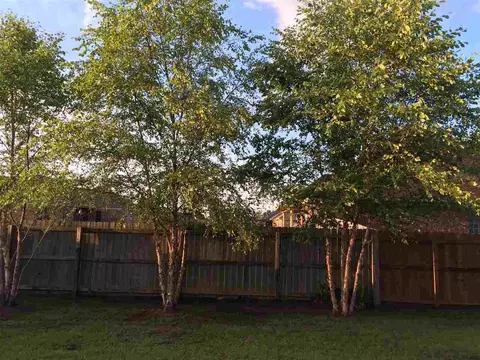 220 Tucker Dr, Brandon, MS 39042 photo 21