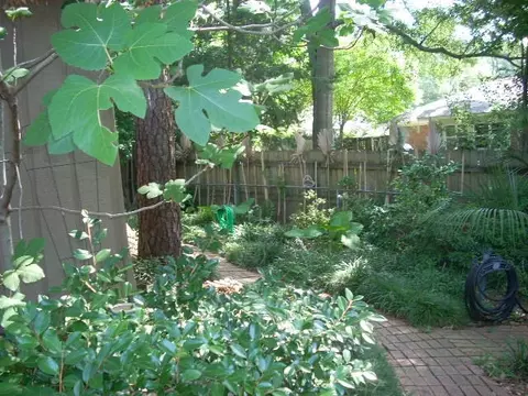 151 Forest Ridge Dr, Brandon, MS 39042 photo 23