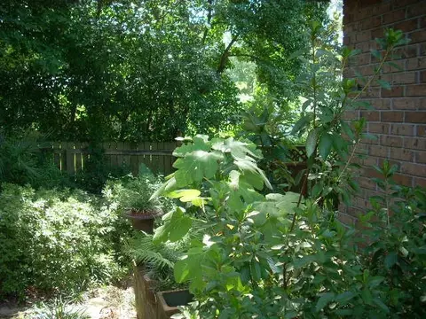 151 Forest Ridge Dr, Brandon, MS 39042 photo 22