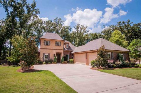 111 Persimmon Pl, Madison, MS 39110 photo 3