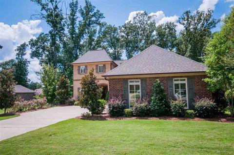 111 Persimmon Pl, Madison, MS 39110 photo 1