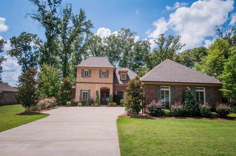 111 Persimmon Pl, Madison, MS 39110 photo 2
