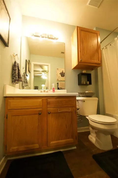 453 Mockingbird Cir, Brandon, MS 39047 photo 20