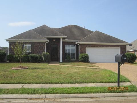 228 John Martin Dr, Brandon, MS 39047 photo 1