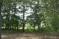 137 Caledonian Blvd, Brandon, MS 39047 photo 20