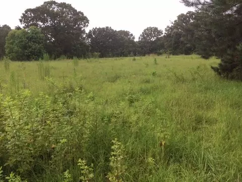 tbd Magee Rd, Summit, MS 39666 photo 1