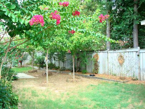 122 Brierfield Dr, Madison, MS 39110 photo 22