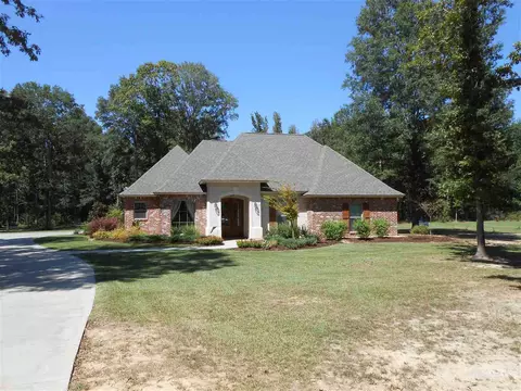 1034 Emileigh Dr, Summit, MS 39666 photo 1