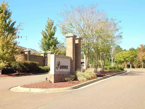 145 Provonce Park, Brandon, MS 39042 photo 22