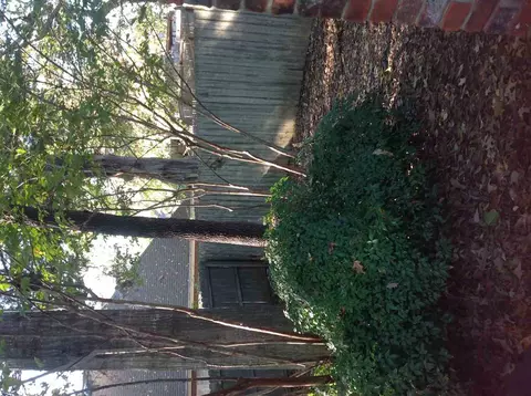 113 Derby Dr, Madison, MS 39110 photo 45