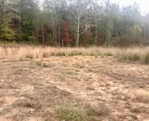 tbd Cripple Ln, Brookhaven, MS 39601 photo 1