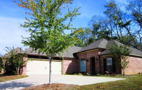 173 Memory Ln, Madison, MS 39110 photo 1