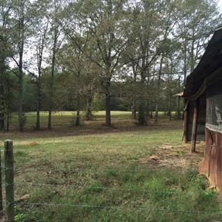 2554 Union Rd, Brookhaven, MS 39601 photo 10