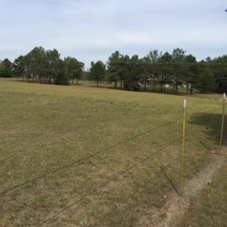 2554 Union Rd, Brookhaven, MS 39601 photo 9