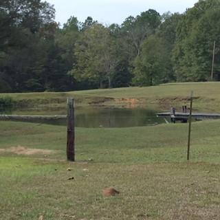 2554 Union Rd, Brookhaven, MS 39601 photo 12