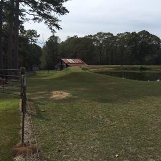 2554 Union Rd, Brookhaven, MS 39601 photo 8