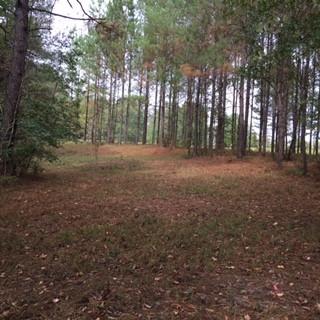 2554 Union Rd, Brookhaven, MS 39601 photo 11