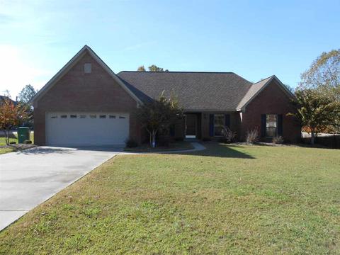 229 Trace Ridge Dr, Kosciusko, MS 39090 photo 1