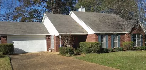 919 Bay Tree Dr, Flowood, MS 39232 photo 2