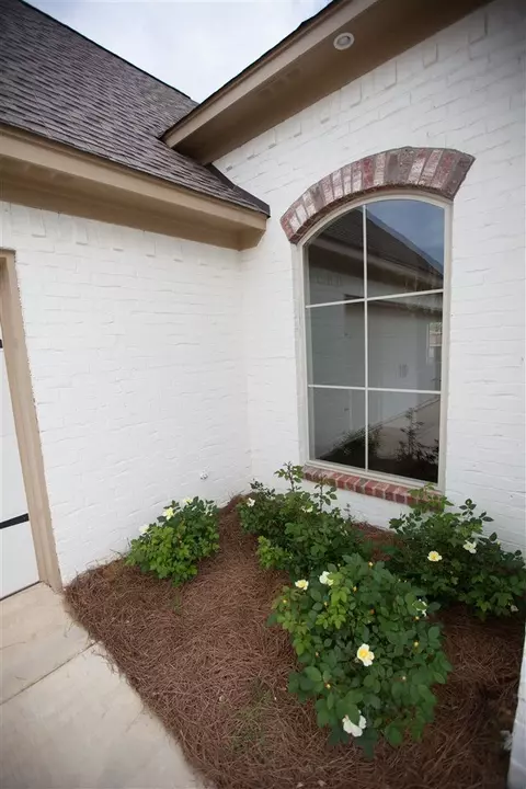 446 Glendale Pl, Brandon, MS 39047 photo 3
