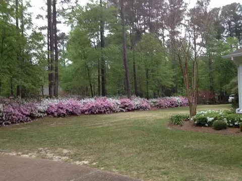388 Ingleside Dr, Madison, MS 39110 photo 48