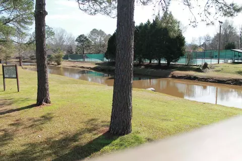 139 Caribbean Cv, Clinton, MS 39056 photo 27