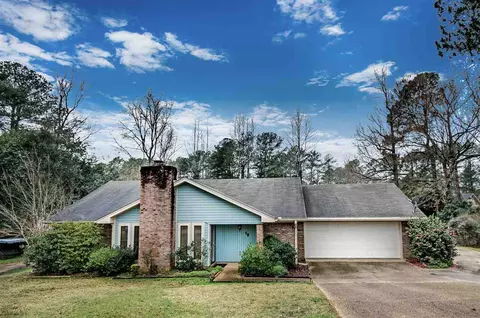 19 Rotan Ct, Brandon, MS 39042 photo 1