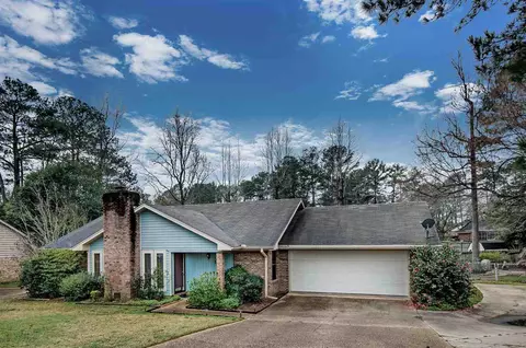 19 Rotan Ct, Brandon, MS 39042 photo 3