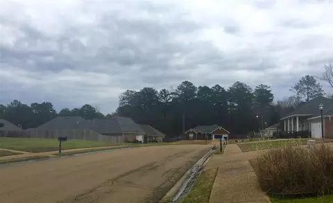 136 Raulston Dr, Byram, MS 39272 photo 50