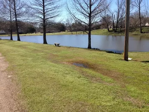 105 Foxton Dr, Raymond, MS 39154 photo 40