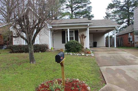 204 Falcon Cv, Brandon, MS 39047 photo 20