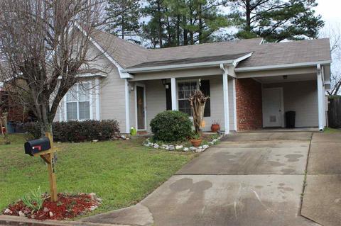 204 Falcon Cv, Brandon, MS 39047 photo 1