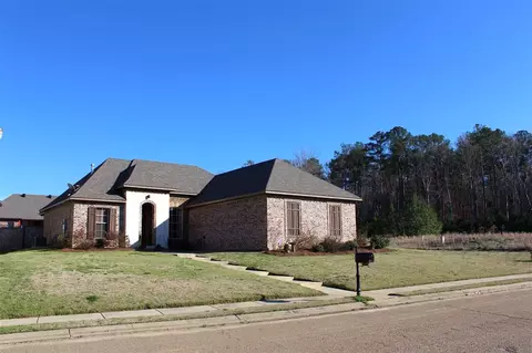 245 Stonebridge Blvd, Brandon, MS 39042 photo 17