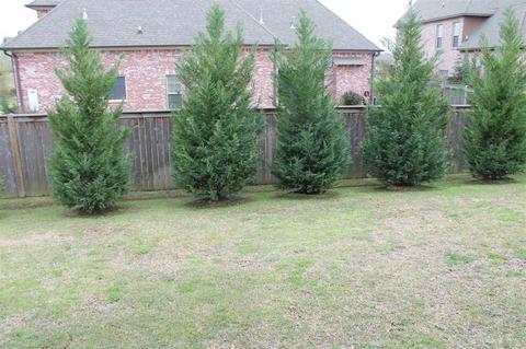 252 Charlestowne Dr, Madison, MS 39110 photo 40