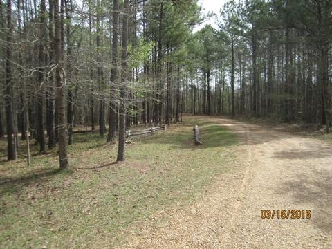 1519 Ashley Rd, Brandon, MS 39042 photo 3