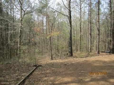 1519 Ashley Rd, Brandon, MS 39042 photo 35