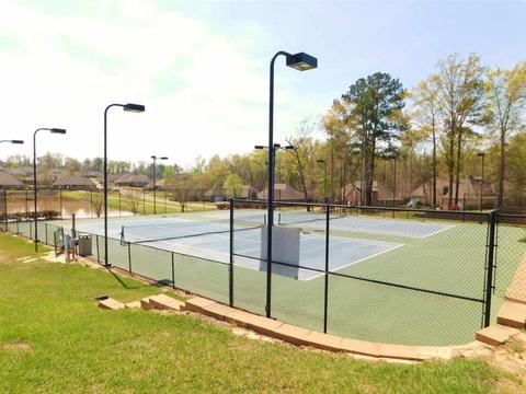 302 Beacon Hill Cv, Brandon, MS 39042 photo 38