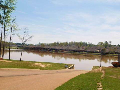 302 Beacon Hill Cv, Brandon, MS 39042 photo 39